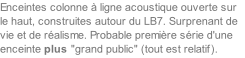 Enceintes colonne à ligne acoustique ouverte sur le haut, construites autour du LB7. Surprenant de vie et de réalisme. Probable première série d'une enceinte plus "grand public" (tout est relatif).